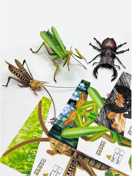 Комахи з паперу, набір 3 штуки