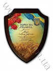 Награда щит на заказ
