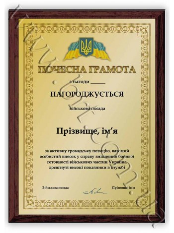 Наградной диплом военнослужащему именной